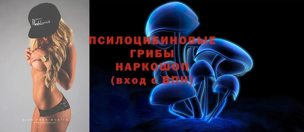 MESCALINE Сясьстрой