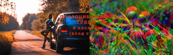 скорость Тавда
