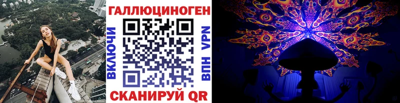 Купить  Гатчина  Галлюциногенные грибы GOLDEN TEACHER 