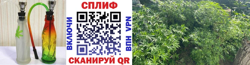 Бошки марихуана ГИДРОПОН  Купить закладки  Гатчина 